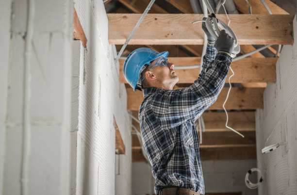 Best Electrical Repair Services  in Lockwood, MO