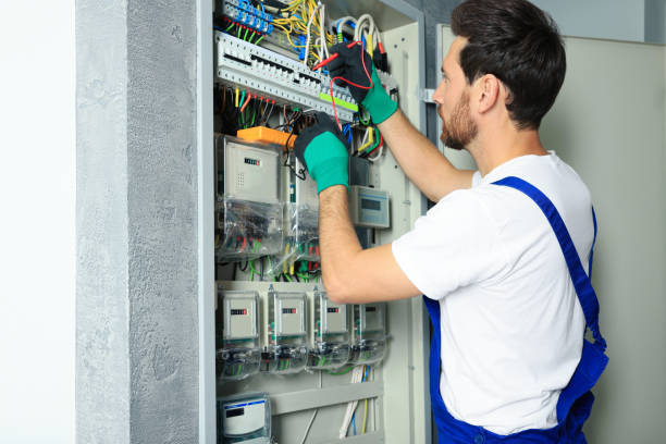 Best Electric Panel Repair  in Lockwood, MO